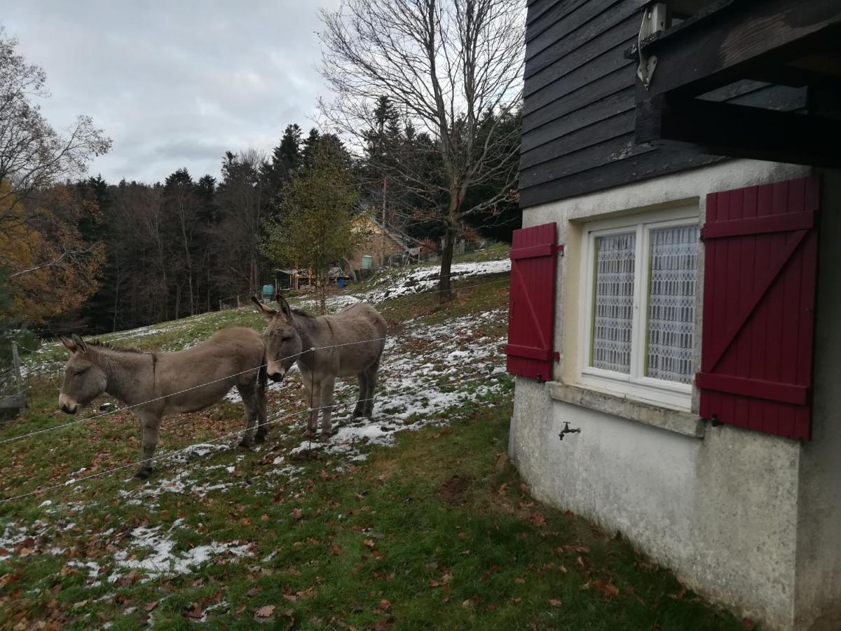 Le Chalet De Rothenbuhl Dabo Dış mekan fotoğraf