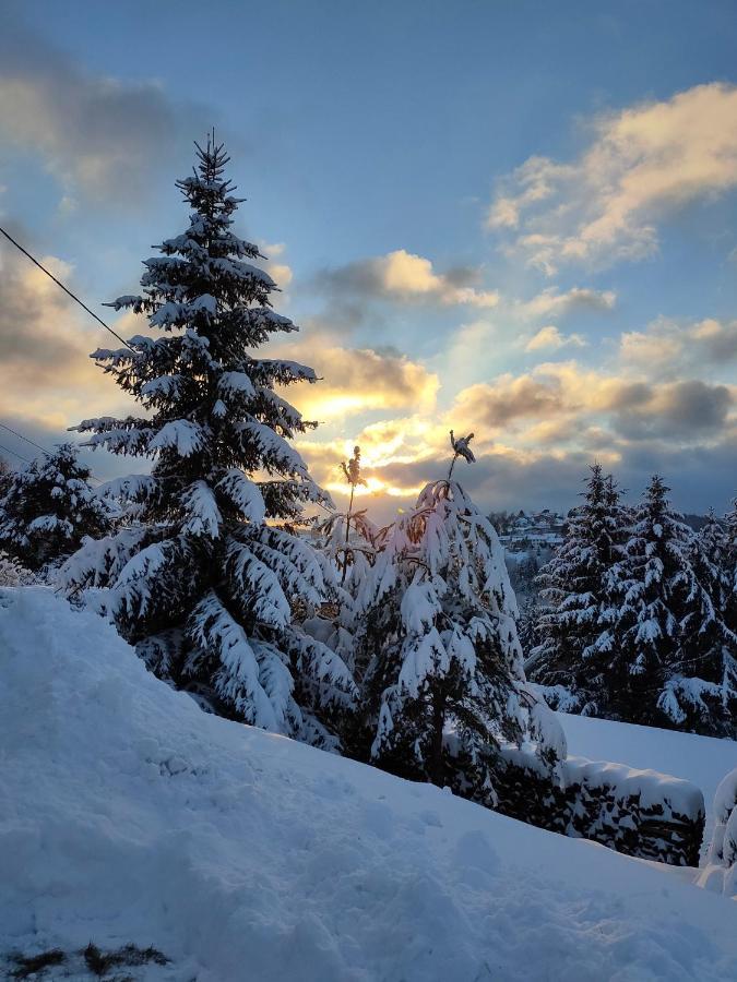 Le Chalet De Rothenbuhl Dabo Dış mekan fotoğraf