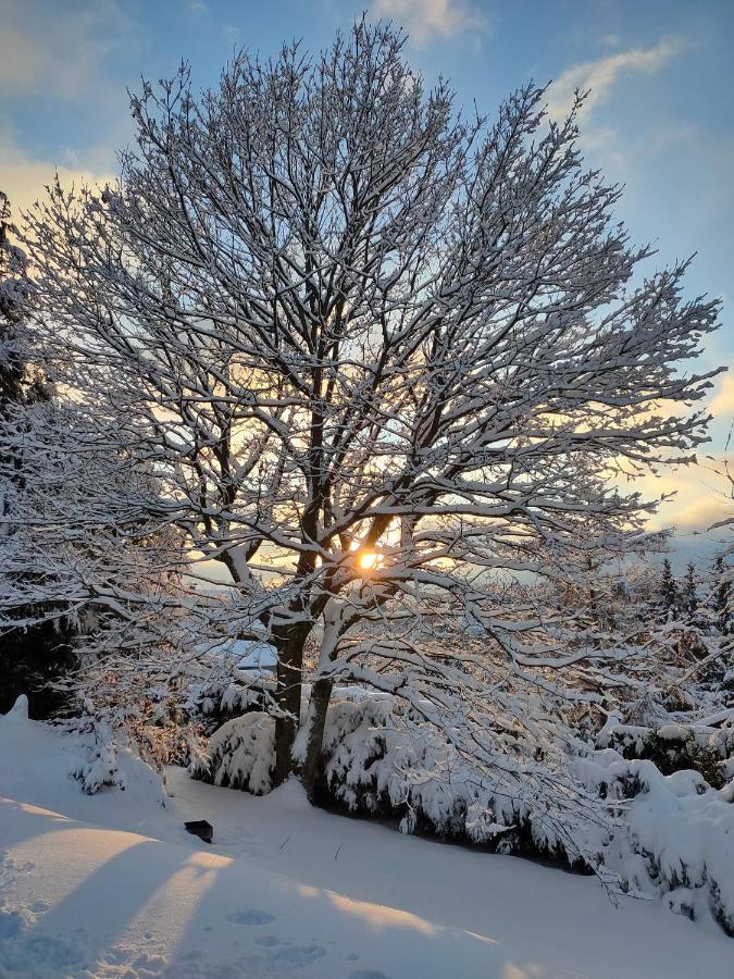 Le Chalet De Rothenbuhl Dabo Dış mekan fotoğraf