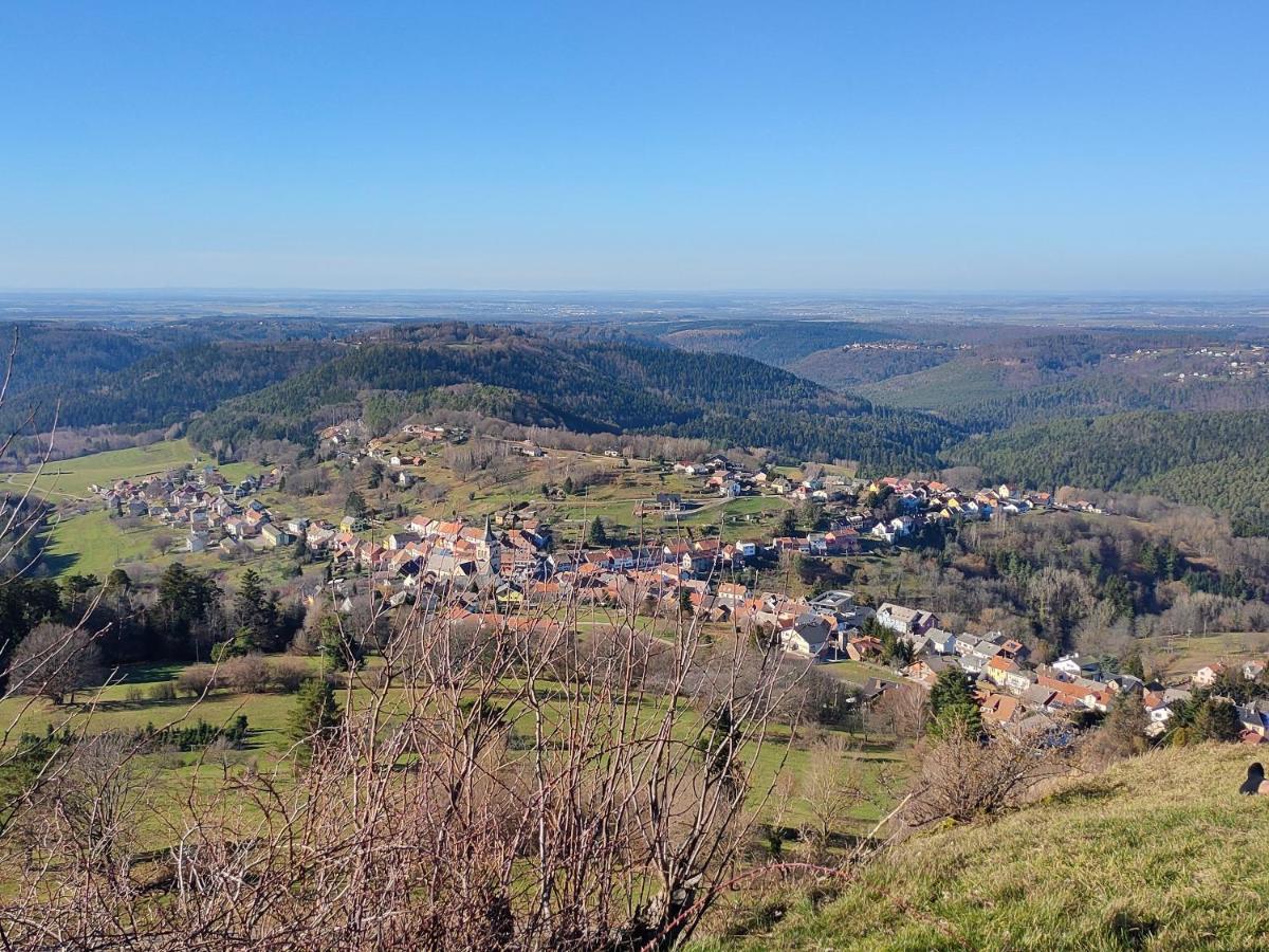 Le Chalet De Rothenbuhl Dabo Dış mekan fotoğraf