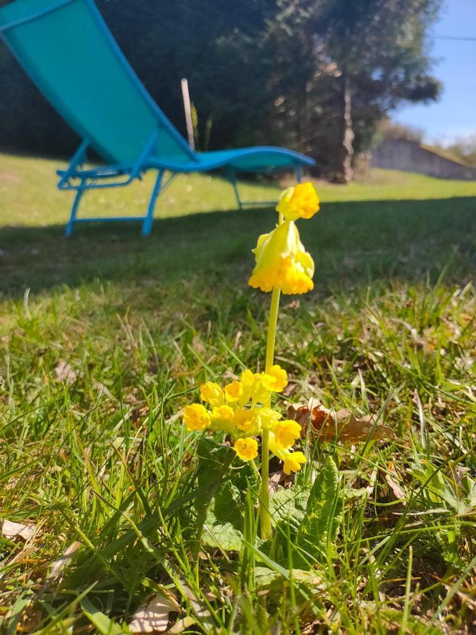 Le Chalet De Rothenbuhl Dabo Dış mekan fotoğraf